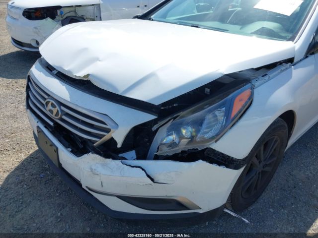 5NPE24AF9HH515295 Hyundai Sonata