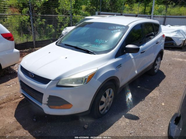 1FMCU0F77EUC21807 Ford ESCAPE S