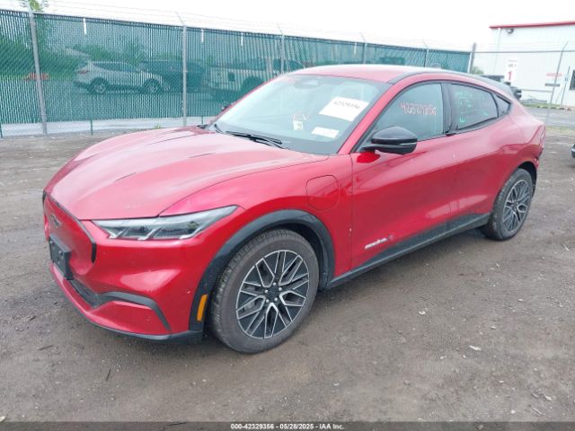 2024 FORD MUSTANG MACH-E 3FMTK3SU7RMA32586 Photo 1