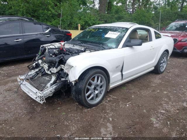 2007 FORD MUSTANG 1ZVFT82HX75304787 Photo 1