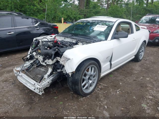 2007 FORD MUSTANG 1ZVFT82HX75304787 Photo 5