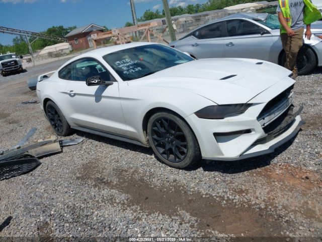 2019 FORD MUSTANG 1FA6P8TH3K5105908