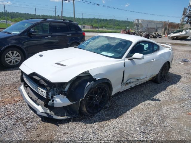 2019 FORD MUSTANG 1FA6P8TH3K5105908 Photo 1