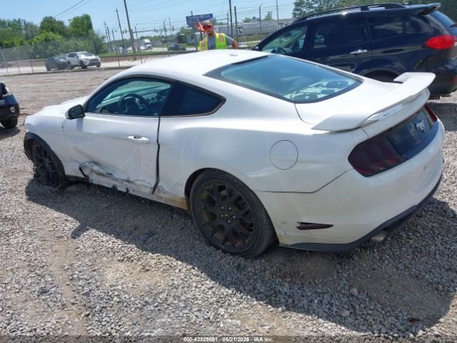 2019 FORD MUSTANG 1FA6P8TH3K5105908 Photo 2