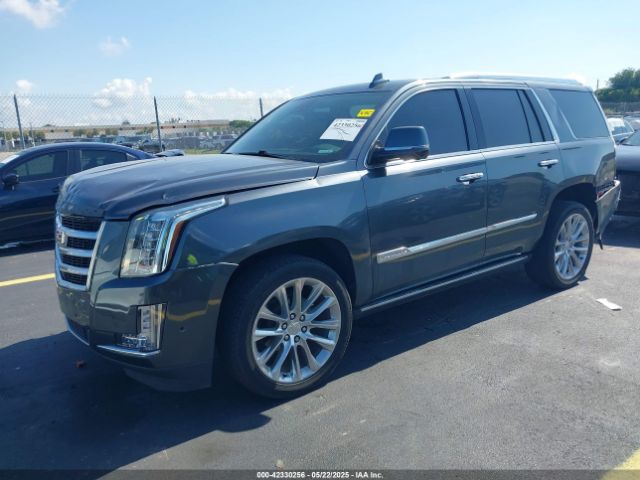1GYS3CKJ5KR249877 Cadillac Escalade Premium Luxury