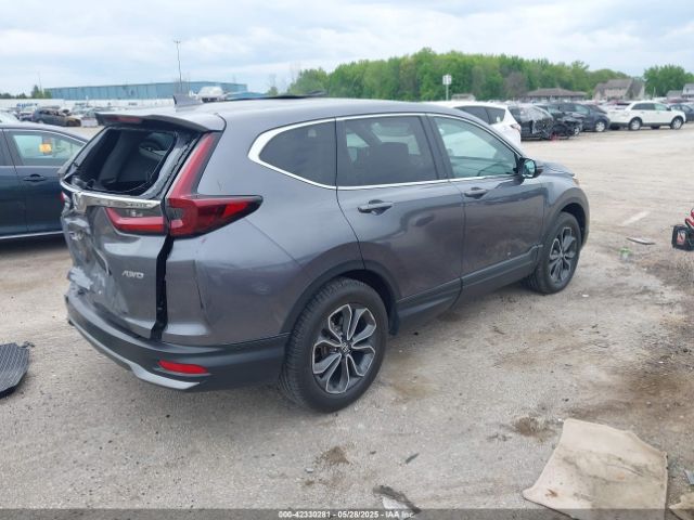 2020 HONDA CR-V 5J6RW2H54LL046249 Photo 3