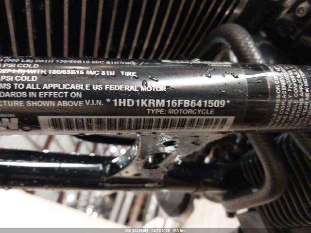 2015 HARLEY-DAVIDSON FLHXS 1HD1KRM16FB641509 Photo 9