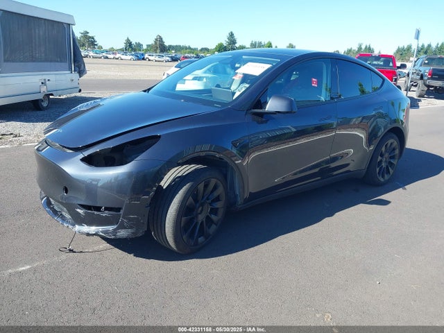 Tesla 2024 2024 7SAYGDEE7RF074401 Image 2