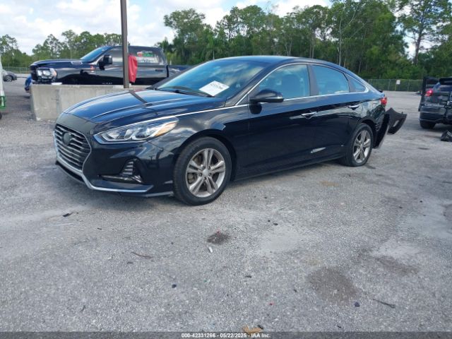 5NPE34AF1JH673228 Hyundai SONATA SEL