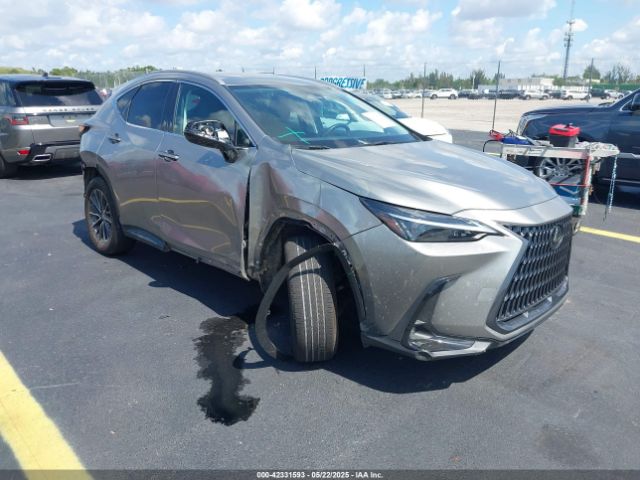 2024 LEXUS NX 250 2T2ADCAZ3RC009989