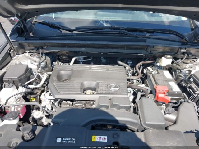 2024 LEXUS NX 250 2T2ADCAZ3RC009989 Photo 9