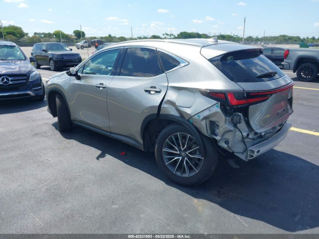 2024 LEXUS NX 250 2T2ADCAZ3RC009989 Photo 2