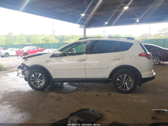 JTMRJREV4HD064186 Toyota Rav4 Hybrid Xle