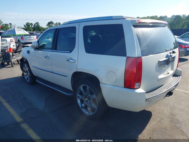 2007 CADILLAC ESCALADE 1GYEC63817R312426 Photo 2