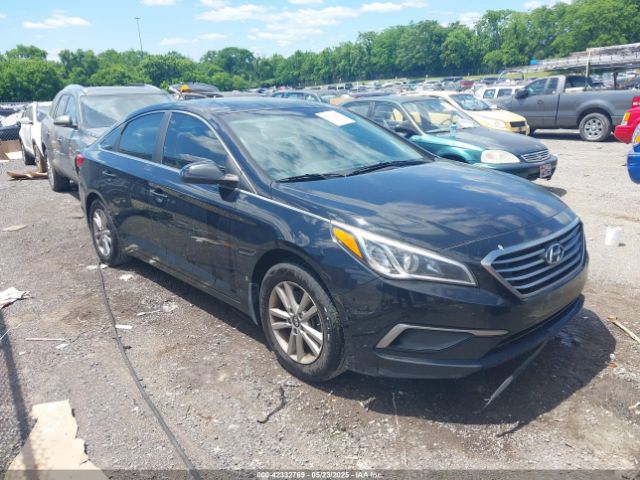 5NPE24AF1GH308334 Hyundai SONATA SE