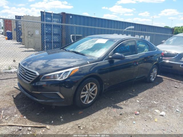 5NPE24AF1GH308334 Hyundai SONATA SE