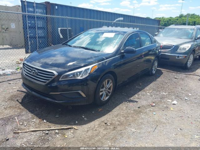 5NPE24AF1GH308334 Hyundai SONATA SE