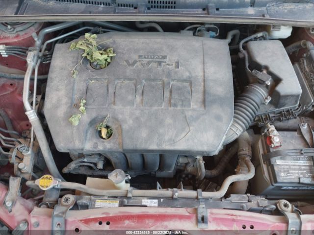 2T1BURHE6KC211732 Toyota Corolla L/le/xle/se/xse