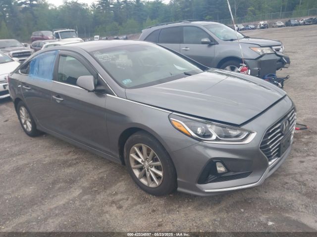 2019 HYUNDAI SONATA 5NPE24AF3KH778275