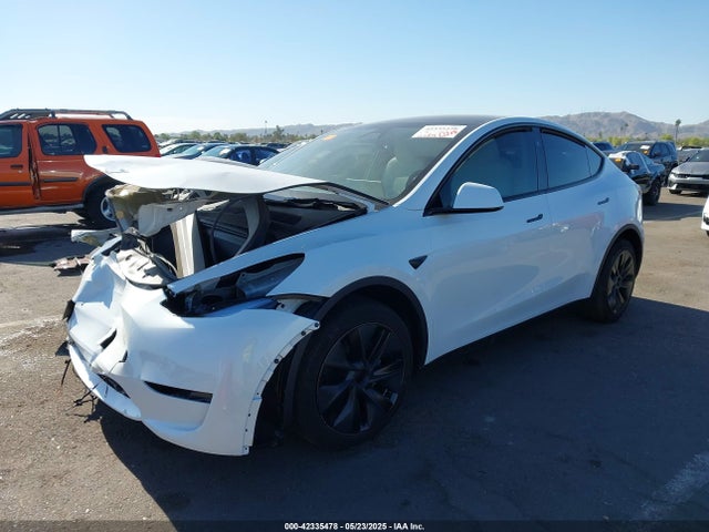 Tesla 2024 2024 7SAYGAEEXRF165581 Image 2