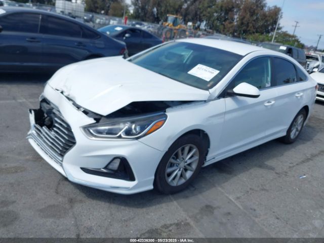 5NPE24AF1JH673099 Hyundai SONATA SE