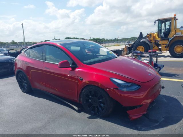 2024 TESLA MODEL Y 7SAYGDED8RF019494