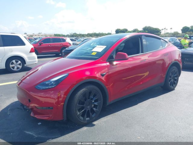 2024 TESLA MODEL Y 7SAYGDED8RF019494 Photo 1