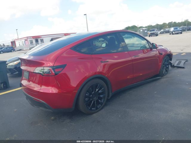 2024 TESLA MODEL Y 7SAYGDED8RF019494 Photo 3