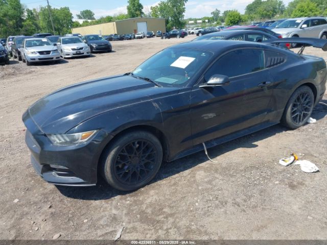 1FA6P8AM1G5294601 Ford Mustang V6