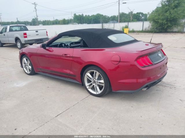 2019 FORD MUSTANG 1FATP8UH7K5148035 Photo 2