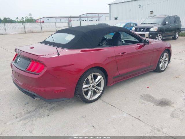 2019 FORD MUSTANG 1FATP8UH7K5148035 Photo 3