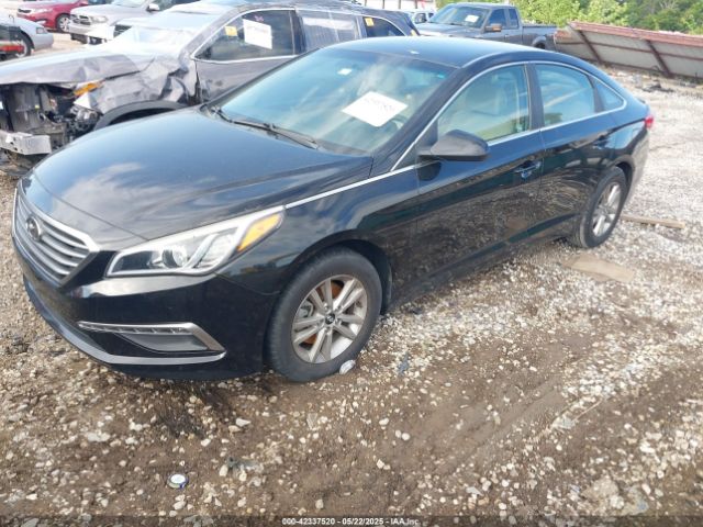 5NPE24AF6FH122464 Hyundai SONATA SE