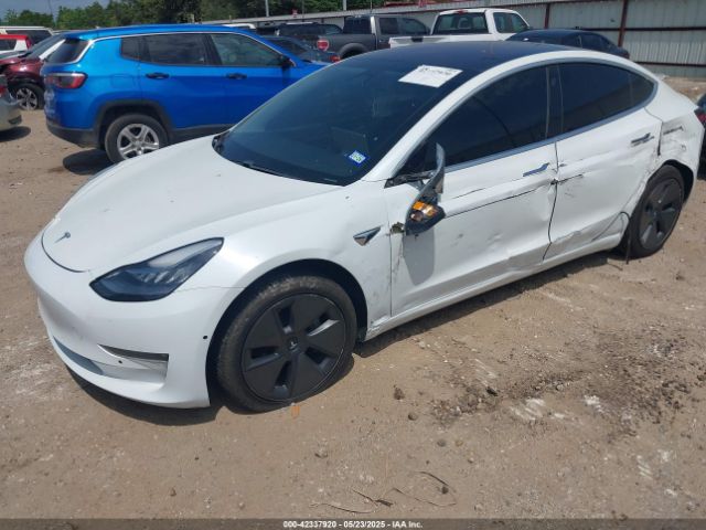 2019 TESLA MODEL 3 5YJ3E1EA3KF300254 Photo 1