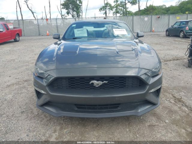 1FA6P8THXL5142584 Ford Mustang Ecoboost Premium Fastback