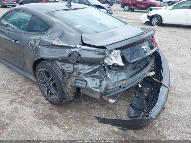 1FA6P8THXL5142584 Ford Mustang Ecoboost Premium Fastback