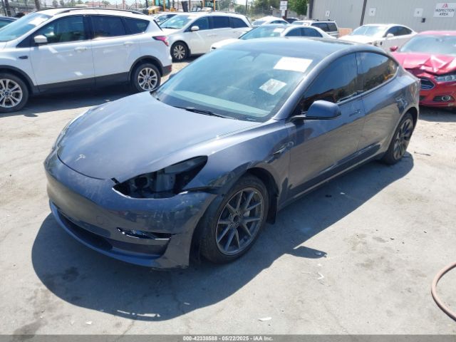 2023 TESLA MODEL 3 5YJ3E1EA1PF464013 Photo 1