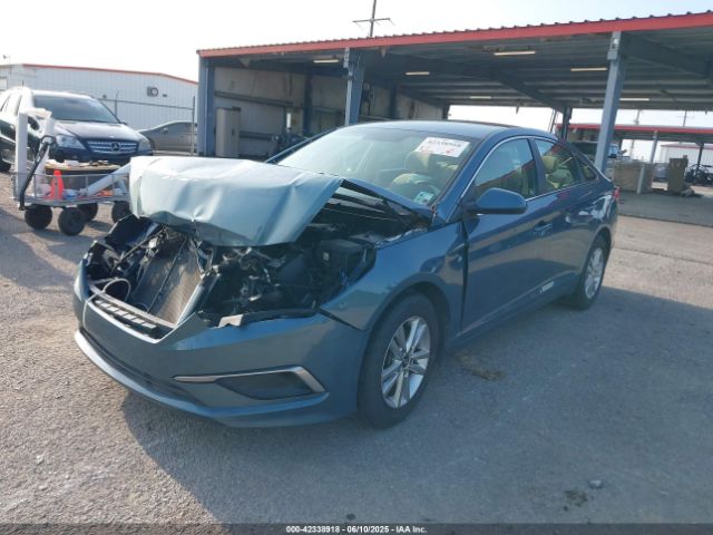 5NPE24AF4HH497515 Hyundai Sonata