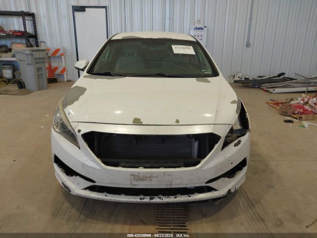 5NPE24AF5HH504438 Hyundai SONATA SE