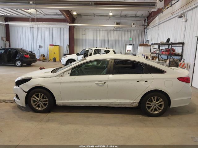 5NPE24AF5HH504438 Hyundai SONATA SE