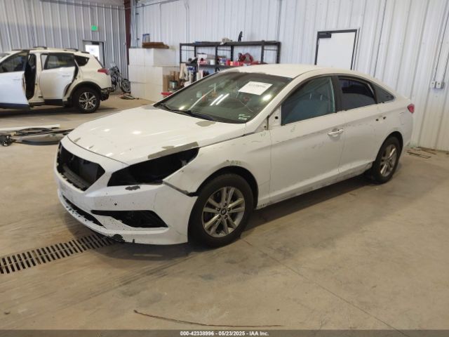 5NPE24AF5HH504438 Hyundai SONATA SE