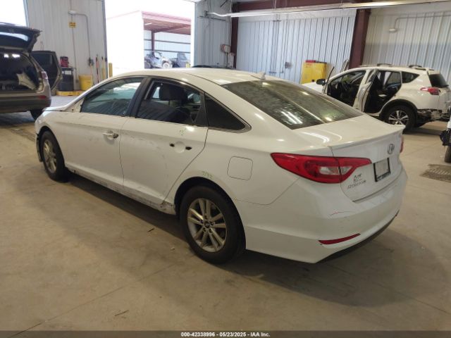 5NPE24AF5HH504438 Hyundai SONATA SE
