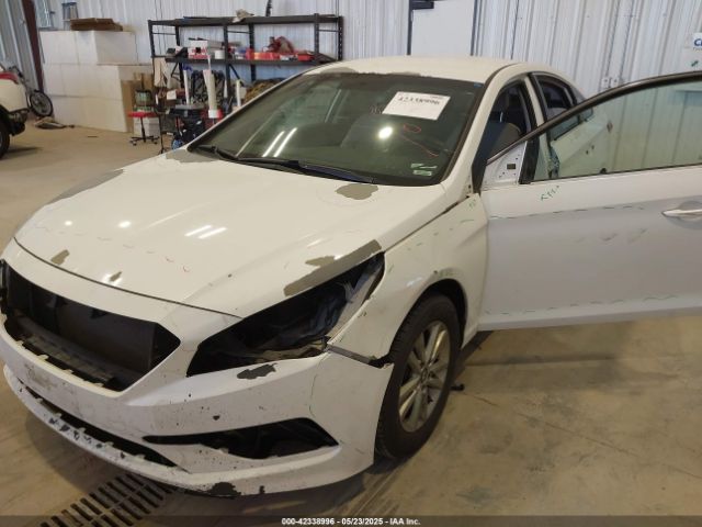 5NPE24AF5HH504438 Hyundai SONATA SE