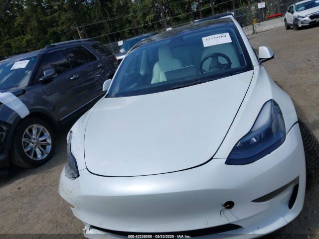 5YJ3E1EB3NF203181 Tesla 2022