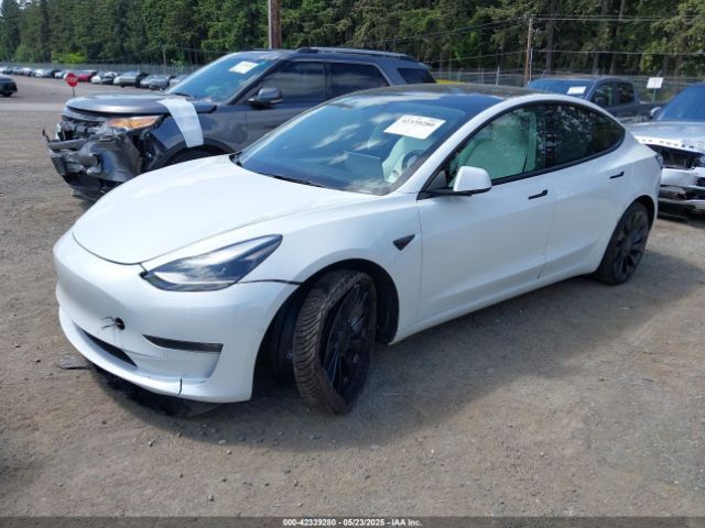 5YJ3E1EB3NF203181 Tesla 2022