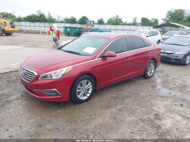 5NPE24AF1FH116135 Hyundai SONATA SE