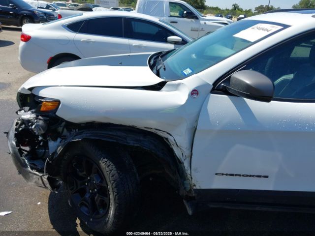 1C4PJMBX1MD145169 Jeep Cherokee Trailhawk 4x4