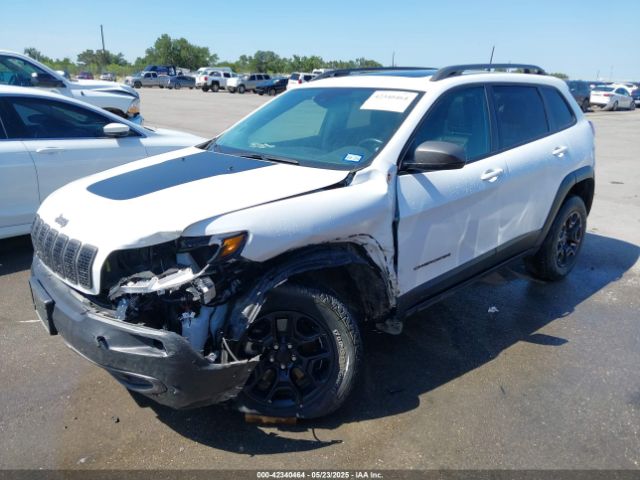 1C4PJMBX1MD145169 Jeep Cherokee Trailhawk 4x4