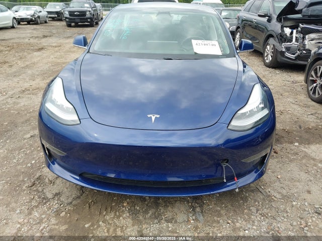 5YJ3E1EBXKF393900 Tesla 2019