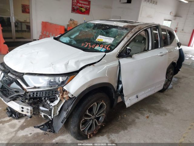 2022 HONDA CR-V 2HKRW2H83NH653721 Photo 1