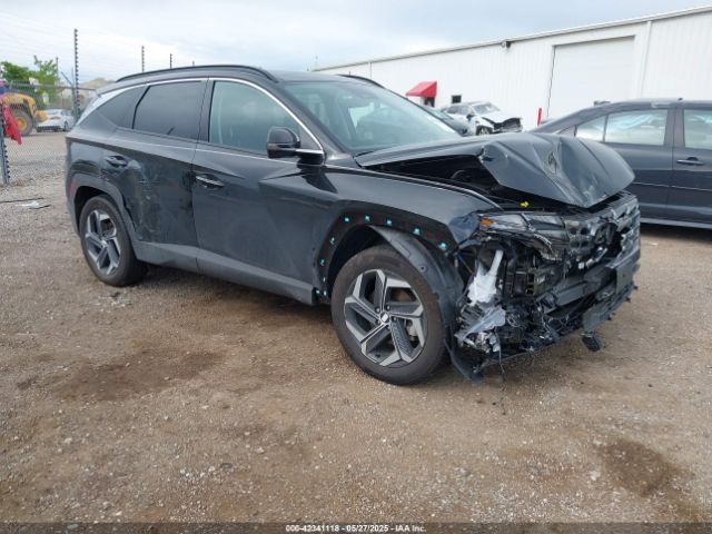 2024 HYUNDAI TUCSON HYBRID KM8JECD15RU243475